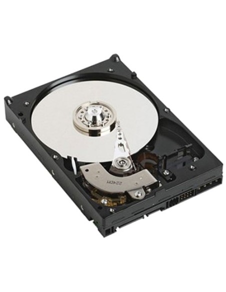 DELL NPOS - to be sold with Server only - 1TB 7.2K RPM SATA 6Gbps 512n 3.5in Cabled Hard Drive
