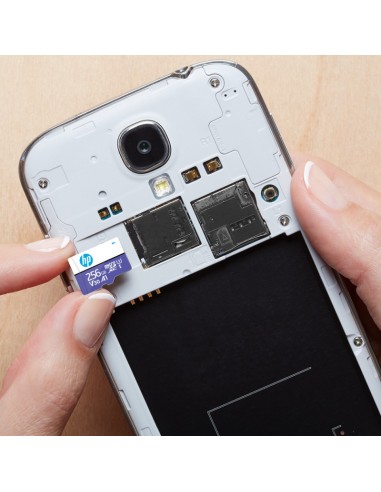 HP HFUD256-1U3PA memoria flash 256 GB MicroSDHC UHS-I Clase 10
