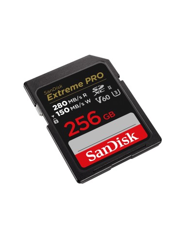 SanDisk SDSDXEP-256G-GN4IN memoria flash 256 GB SDXC UHS-II Clase 10