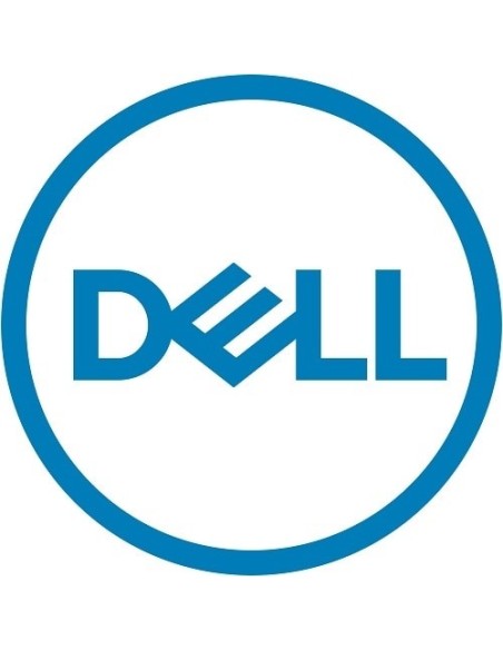 DELL 161-BBPH disco duro interno 4 TB 7200 RPM 3.5" NL-SAS