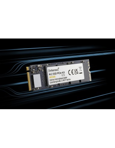 Intenso 3836460 unidad de estado sólido 1 TB M.2 PCI Express 4.0 NVMe