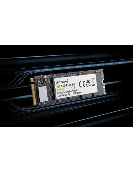 Intenso 3836460 unidad de estado sólido 1 TB M.2 PCI Express 4.0 NVMe