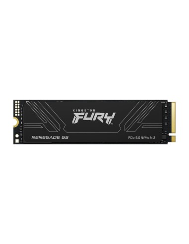 Kingston Technology 1T FURY RENEGADE G5 M.2 2280 NVMe SSD
