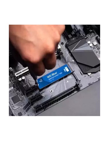 Western Digital WDS200T4B0E unidad de estado sólido 2 TB M.2 PCI Express 4.0 NVMe