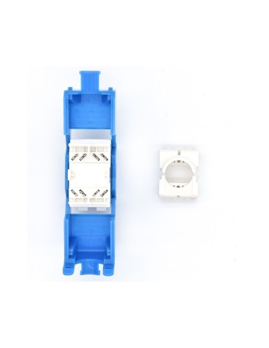 WP WPC-KEY-6AUP-TL B módulo de conector de red