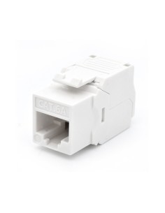 WP WPC-KEY-6AUP-TL W módulo de conector de red