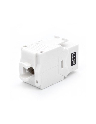 WP WPC-KEY-6AUP-TL W módulo de conector de red