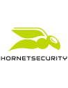 HornetSecurity