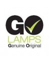 GO LAMPS VALUE